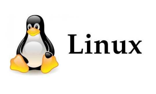 Linus：我们都老了，但Linux维护后继无人 