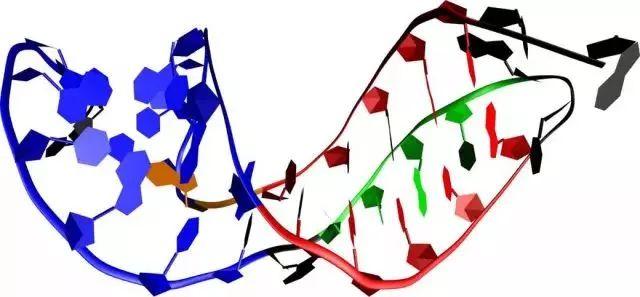 美国Science公布:全球125个最前沿的科学难题(图)
