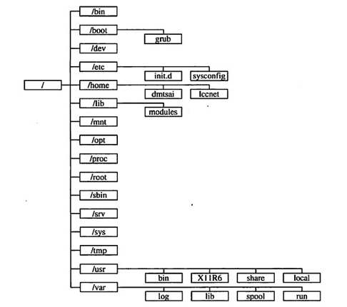 Linux目录结构组成 