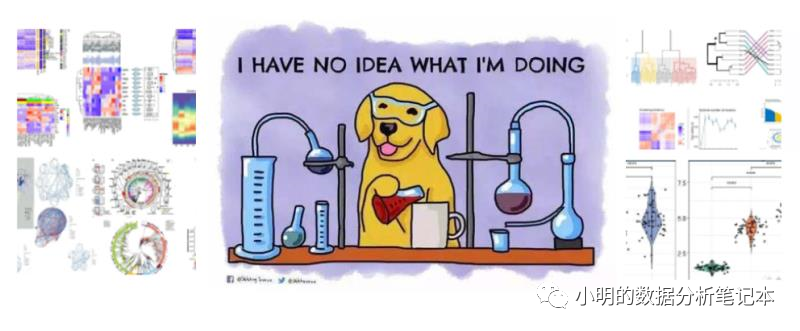 微生物基因工程 Oschina 中文开源技术交流社区