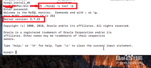 如何在Macbook上安装MySQL