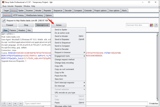 Burpsuite Professional安装及使用教程 