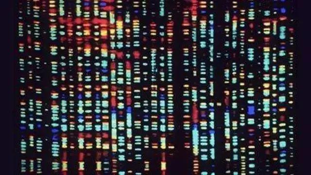 美国Science公布:全球125个最前沿的科学难题(图)