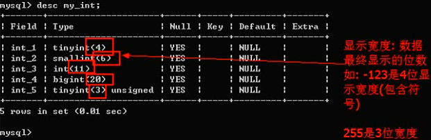 MySQL之字段数据类型和列属性 