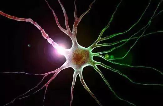 美国Science公布:全球125个最前沿的科学难题(图)