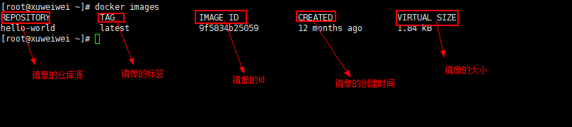 Docker之常用命令 