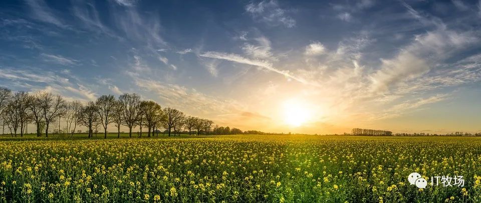 为什么删除数据后，Redis内存占用依然很高？