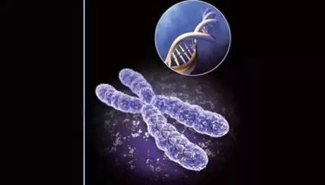 美国Science公布:全球125个最前沿的科学难题(图)