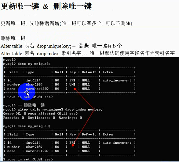 MySQL之字段数据类型和列属性 