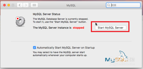 如何在Macbook上安装MySQL