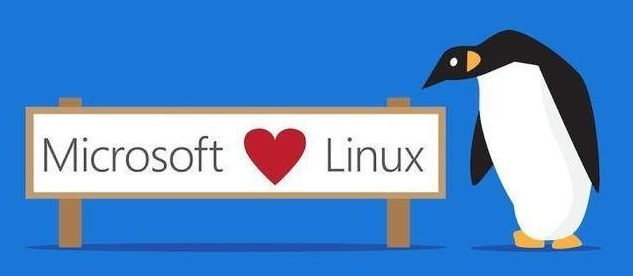 Windows Server 不再主导，Linux 占 Azure 最大份额
