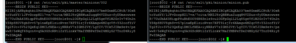 8fa539a546d2f5f2d1e7fdd554a99a781c8.jpg
