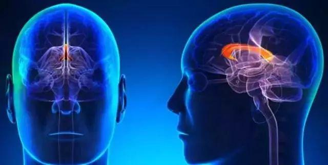美国Science公布:全球125个最前沿的科学难题(图)