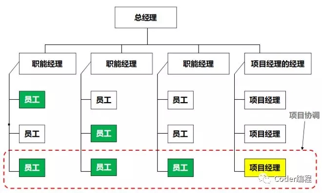 强矩阵组织