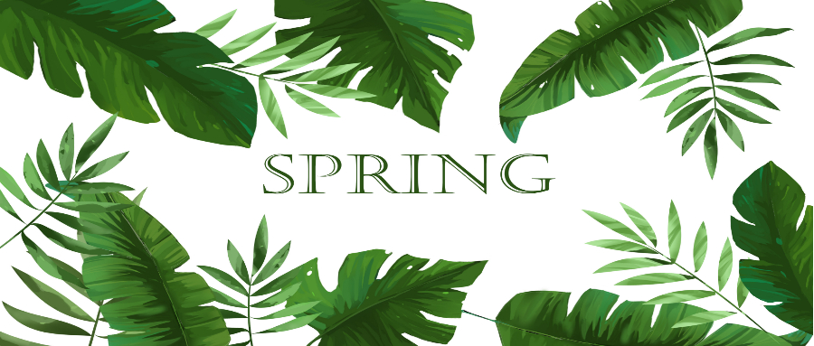 《Spring 手撸专栏》第 1 章：开篇介绍，我要带你撸 Spring 啦！