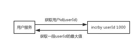 Redis的n种妙用,分布式锁,分布式唯一id,消息队列,抽奖……