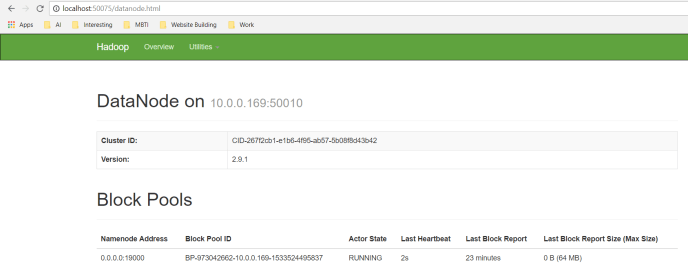 Hadoop Data Node Web UI