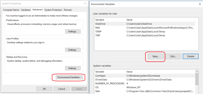 Set Windows Environment Variables