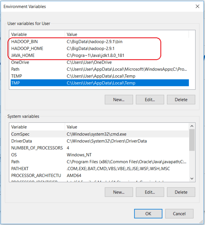 Set Hadoop Environment Variables