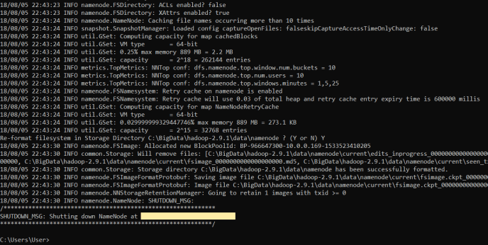 Format Hadoop Name Node