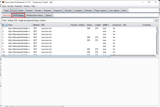 Burpsuite Professional安装及使用教程 