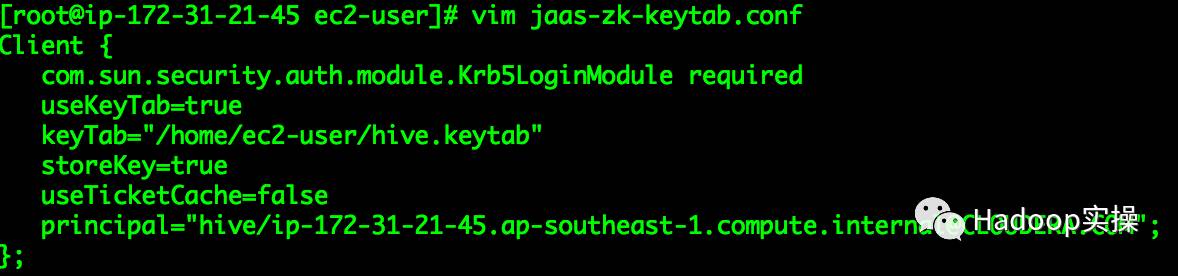 Kerberos环境下删除ZooKeeper服务注册信息问题分析 