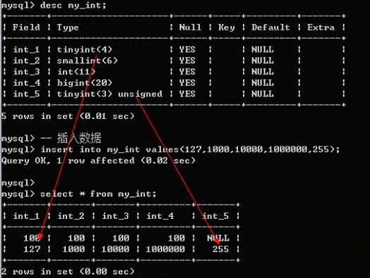 MySQL之字段数据类型和列属性 