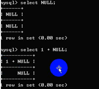 MySQL之字段数据类型和列属性 