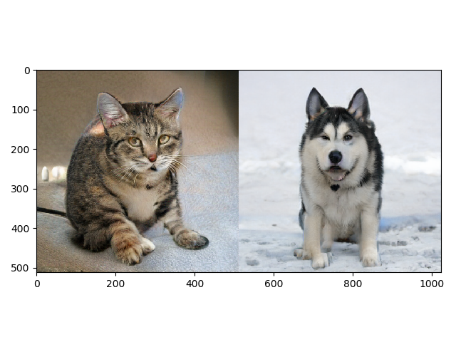 tf hub bigGan 猫变狗