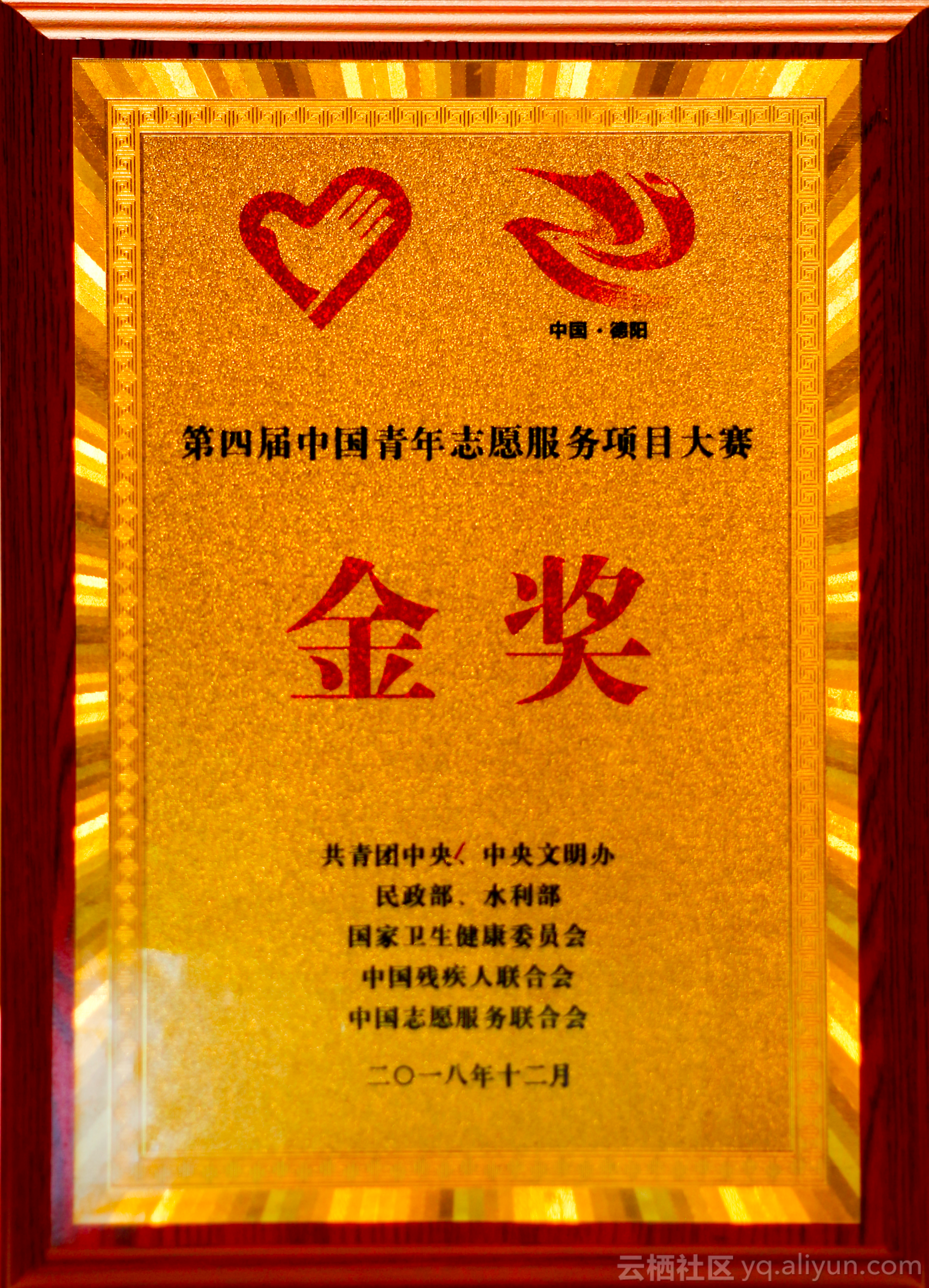 金奖!送给有情怀,有技术的他们!