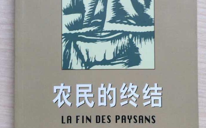 《农民的终结》读书笔记优秀范文2700字