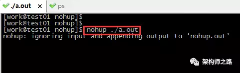 Linux nohup和&的功效 