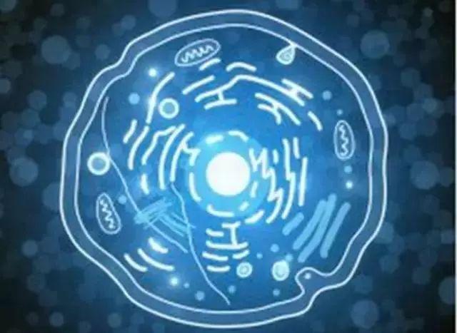 美国Science公布:全球125个最前沿的科学难题(图)