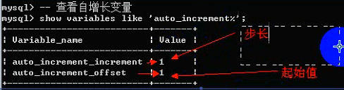 MySQL之字段数据类型和列属性 