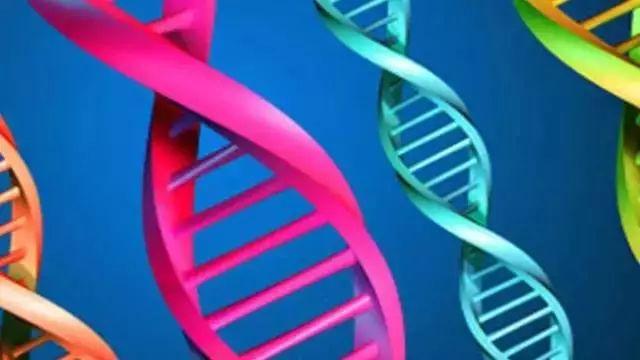 美国Science公布:全球125个最前沿的科学难题(图)