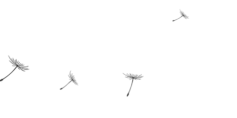 b8dd1efdb7be598b28224f34e5e99fff691.gif