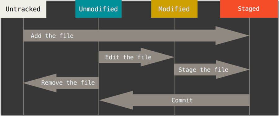 Git文件的lifecycle