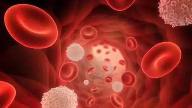 美国Science公布:全球125个最前沿的科学难题(图)