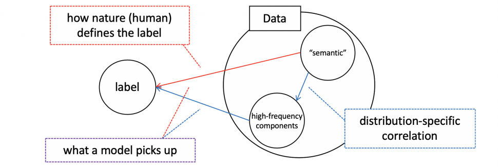 高频分量可以帮助解释卷积神经网络的泛化性
