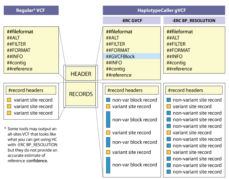 VCF和GVCF格式说明 