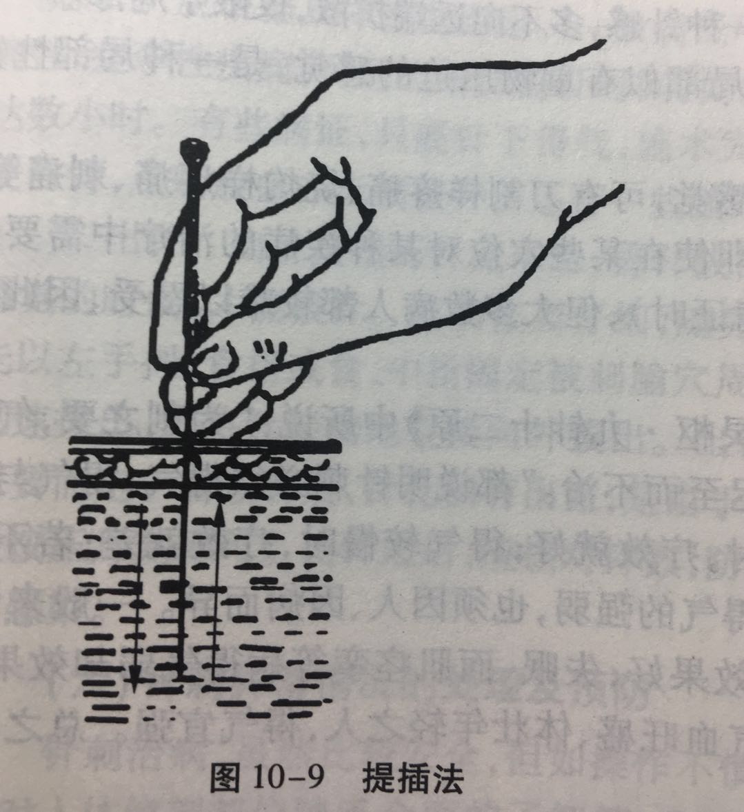 【2-刺灸的基本方法】