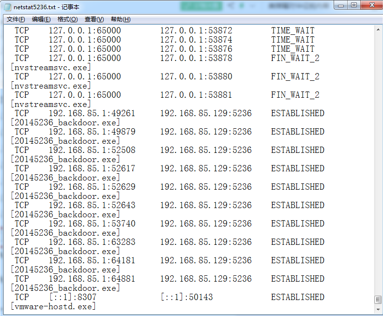 20145236《网络攻防》Exp4 恶意代码分析 