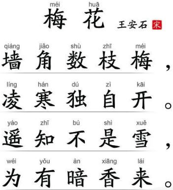 Expose造句带翻译 Oschina 中文开源技术交流社区