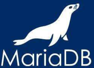 MariaDB 基金会 CEO 宣布将于 10 月 1 日卸任