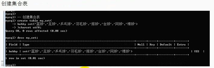 MySQL之字段数据类型和列属性 