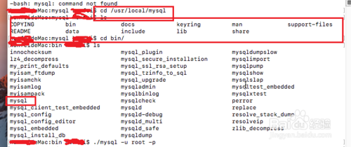 如何在Macbook上安装MySQL