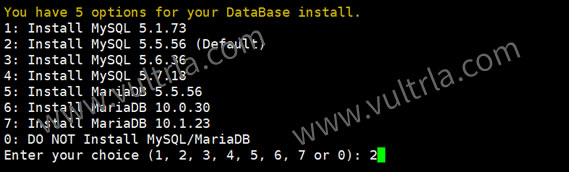 Vultr VPS建站攻略 - 一键安装LNMP无面板高性能WEB环境