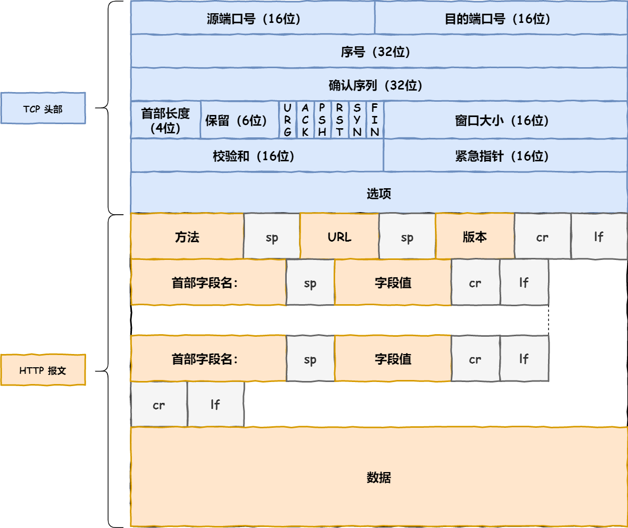TCP 层报文 TCP 层报文