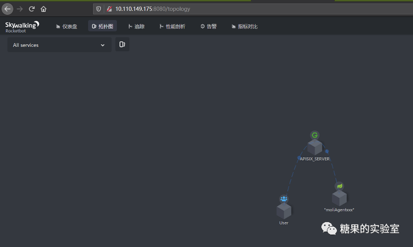 Skywalking SQL注入漏洞 