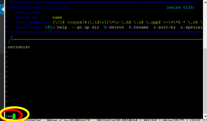 vi 或者 vim 编辑器的简单操作方法